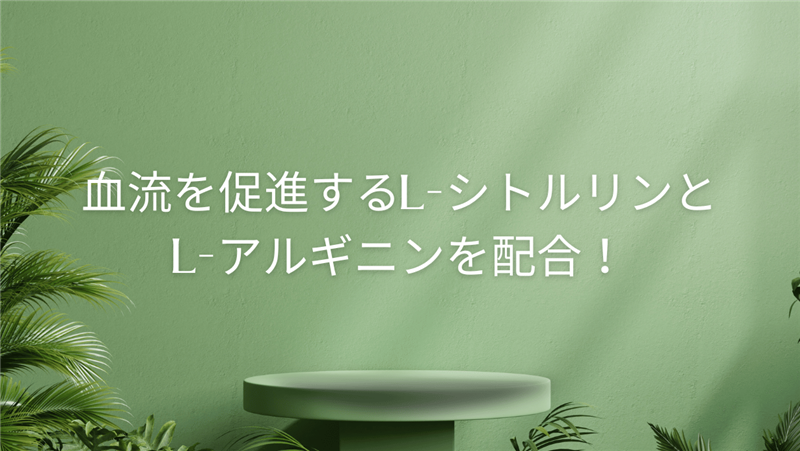 血流を促進するL-シトルリンとL-アルギニンを配合！